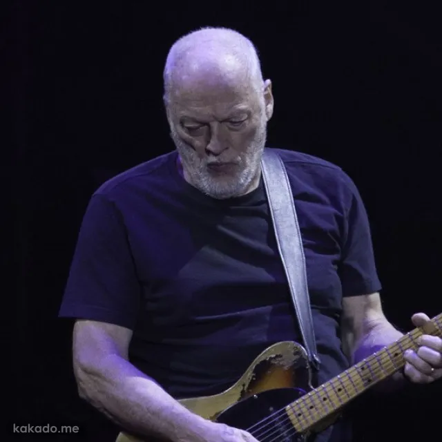 دیوید گیلمور - David Gilmour